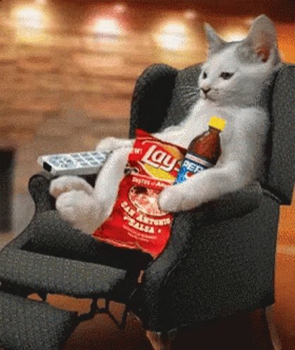 Кот ест попкорн gif