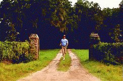 Run Forest Run Forest Gump GIF