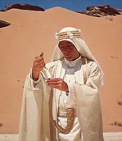 Happy Birthday  Peter O Toole 