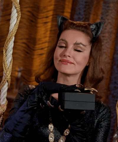 Happy 88th Birthday to Julie Newmar! The most awesome Catwoman ever! 