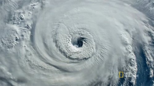 Hurricane Seagrass And The Ecosystem GIF