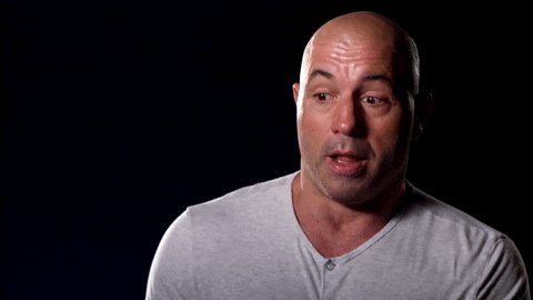 Joe Rogan Yes GIF by UFC