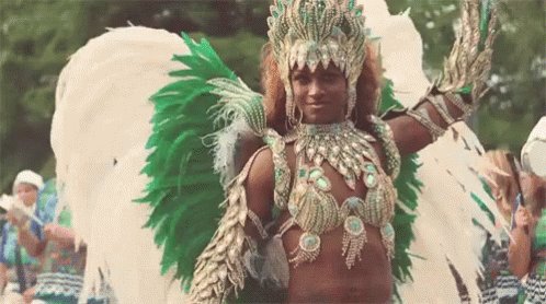 Musa Da Escola De Samba GIF