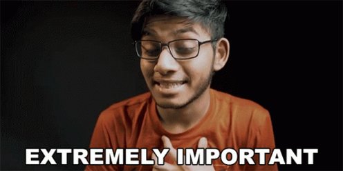 Extremely Important Anubhav Roy GIF