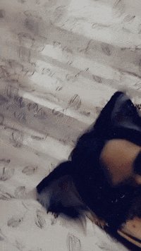 Meow. :3 https://t.co/sUc0iXudCe