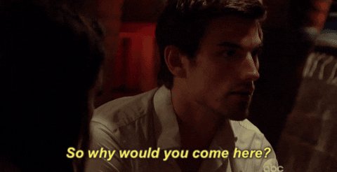 so why would you come here season 3 GIF by Bachelor in Parad