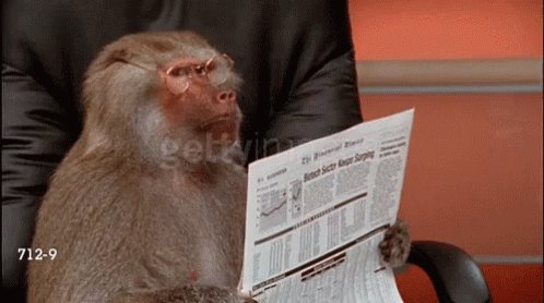 Baboon Newspaper GIF