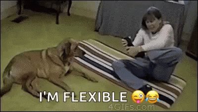 Flexible Better Than You GIF