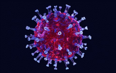 Coronavirus Pandemic GIF