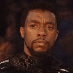 Black Panther GIF by MOODMAN