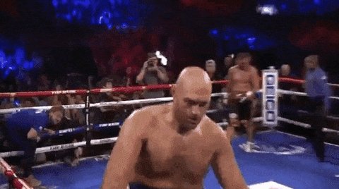  Happy Birthday   The \Gypsy King\ turns 3  3  today  