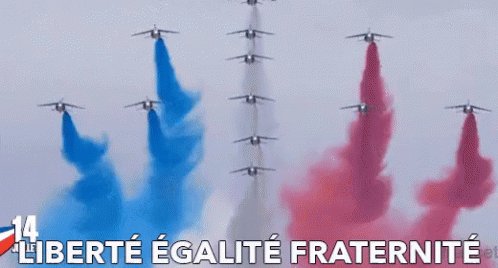 Liberté Égalité Fraternité GIF