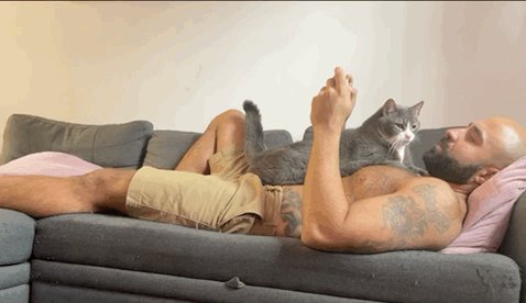 Jinx demanding love https://t.co/d3mOouRoym