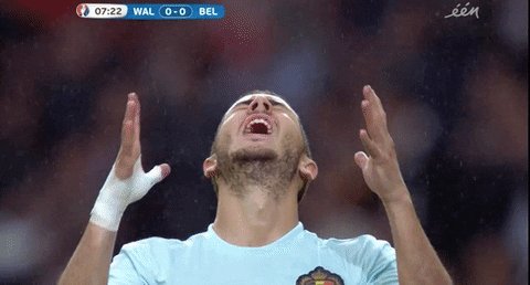 Euro 2016 No GIF by Sporza