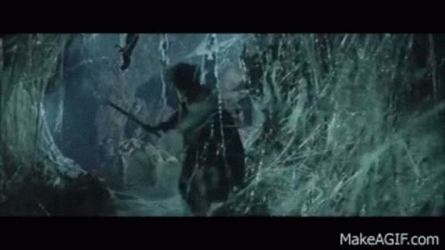 Frodo Spider GIF