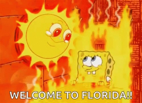 Sun Spongebob GIF