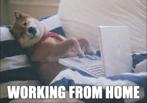 Work From Home Reaction GIF...