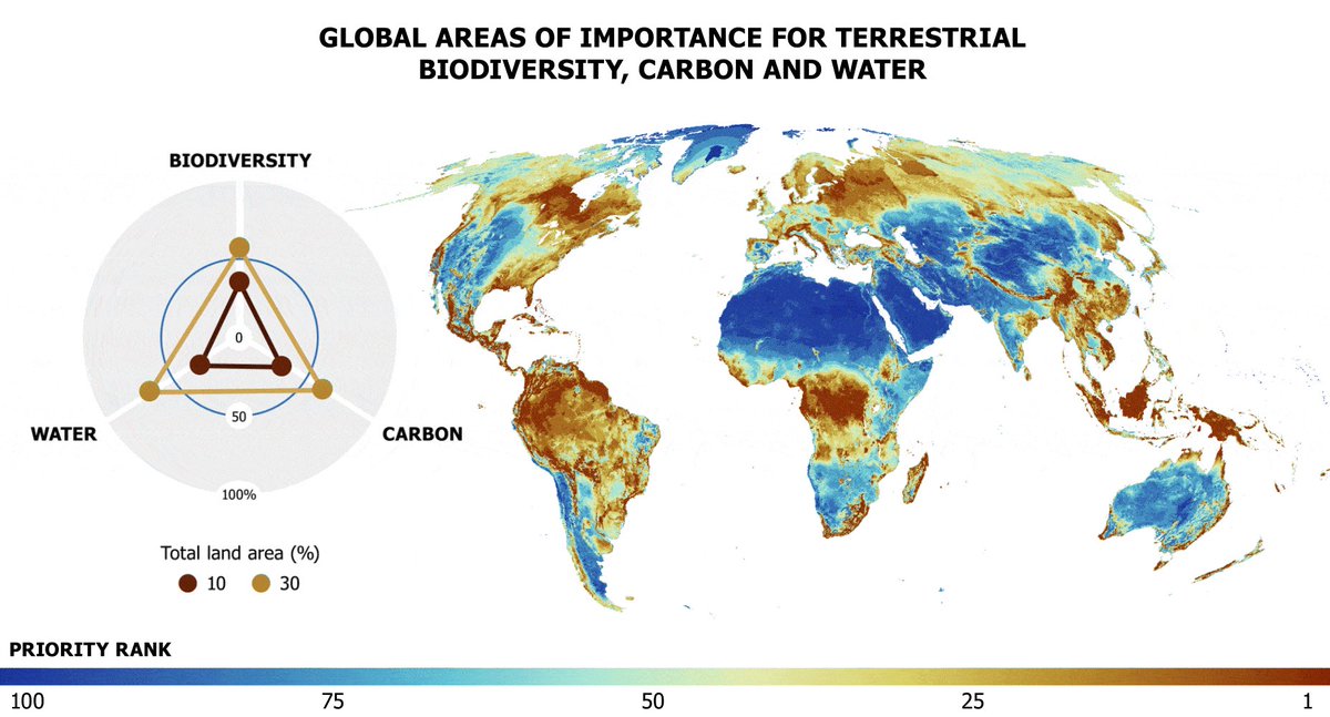 Global areas of importance for biodiversity, carbon and wate