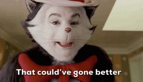 The Cat In The Hat That Couldve Gone Better GIF