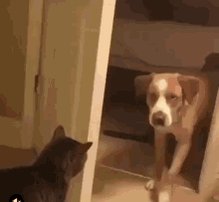 Door Closed Go Out GIF