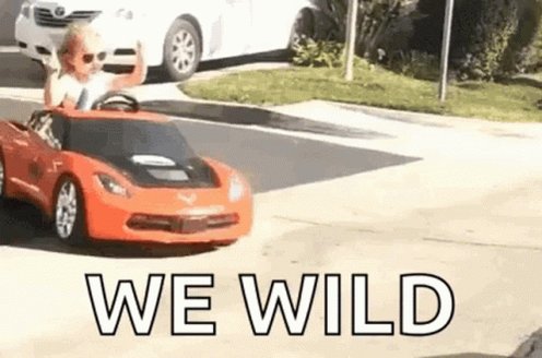 Wild Reckless GIF