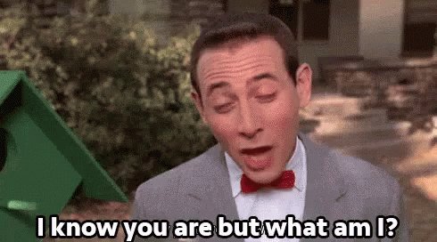 Happy 69th birthday to Paul Reubens aka Pee Wee Herman! 