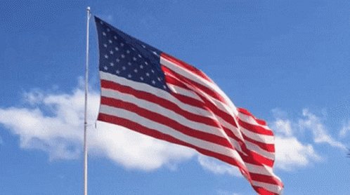 American Flag Usa GIF