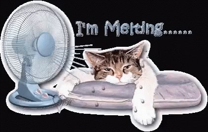 ❤️Heat index of 103 degrees...#VBS in a couple hours where I will have between 20-30 preschoolers. Prayers appreciated! 🙏🙏🙏 #TheSunIsTryingToKillUs 🤣😀 #prayers #GodIsGood #GroupVbs #ROAR