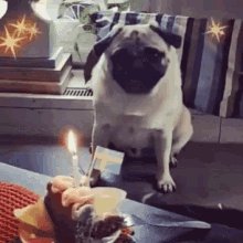 Happy birthday,  