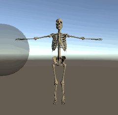Blender Unityのhumanoidに設定するとアニメーションで骨盤だけが動かない件 イシゲーのunity保管庫