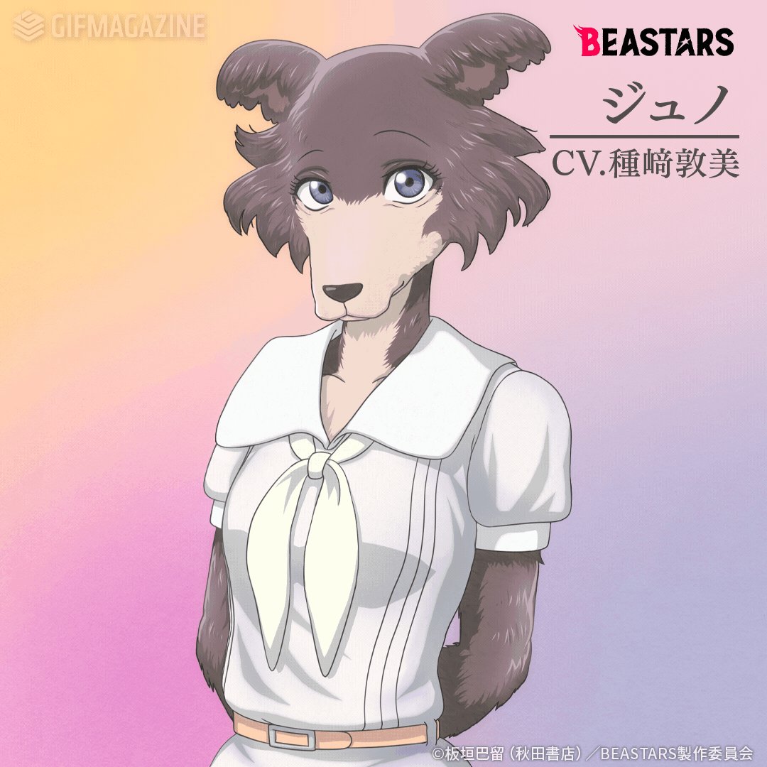 Tvアニメ Beastars ビースターズ Pa Twitter 公式gif ジュノ ハイイロオオカミ Cv 種﨑敦美 Tanezakiatsumi Beastars Gifはこちらをチェック T Co Gnqlz3yf0s公式hpはこちら T Co Ncd23gyu0o Bstanime T Co Iuughhy2ks