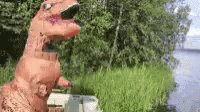 Embedded video