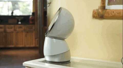 #Jibo can drive?!@LinusTech