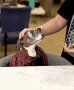 https://pbs.twimg.com/tweet_video_thumb/EC1ikmsUcAIuZj-.jpg