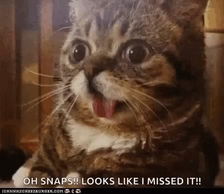 Jamie Taylor (@JamesTay48) on Twitter photo 26/08/2019 07:51:08 @Splurrt Damnits.☹️ @Splurrt Damnits.☹️