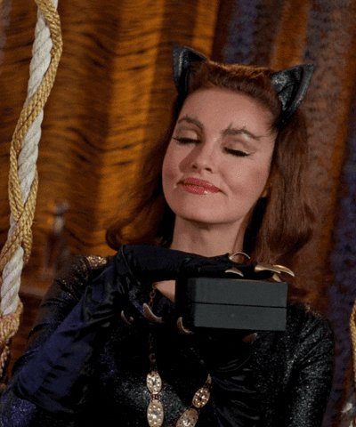 Happy birthday Julie Newmar! 