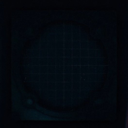 Sega запустила сайт под названием HMKD — похоже, это тизер игры Humankind