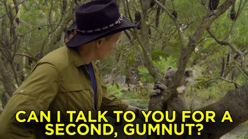 ICYMI: Conan held an intervention with a eucalyptus-addicted koala named Gumnut. http://conan25.teamcoco.com/node/107348 #ConanAustralia