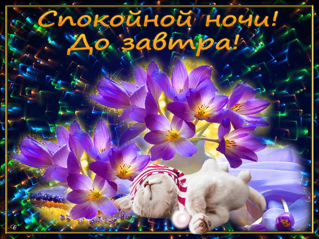 Доброй ночи в картинках анимации, поздравления открытки марта