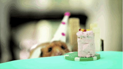 Happy birthday and and ME! 