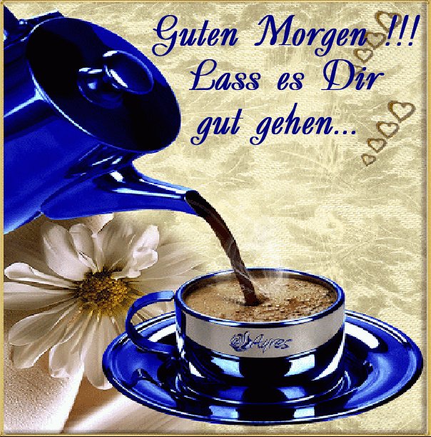 51. Guten Morgen meine Lieben, erst einmal einen Kaffee, lassen wir den Son...