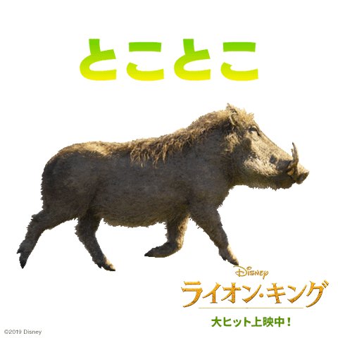 ディズニー スタジオ 心優しいイボイノシシの プンバァ モットーは ハクナマタタ ちなみに あの有名なイボを持つのは オスだけ ライオンキング 豆知識 超実写ライオンキング T Co Nmiwumwaez Twitter
