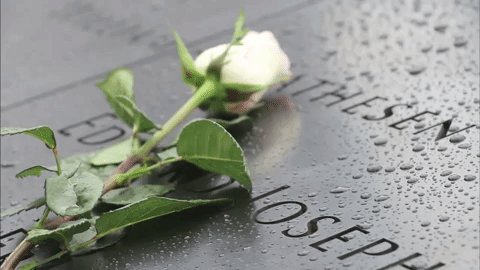 bctv.org (@bctv_org) on Twitter photo 11/09/2019 14:29:17 #NeverForget #NeverForgotten #911Anniversary #NeverForget #NeverForgotten #911Anniversary