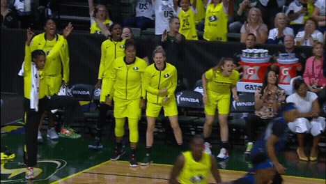 HALFTIME: @seattlestorm 47 - @minnesotalynx 41
📺: ESPN2 #WNBAPlayoffs