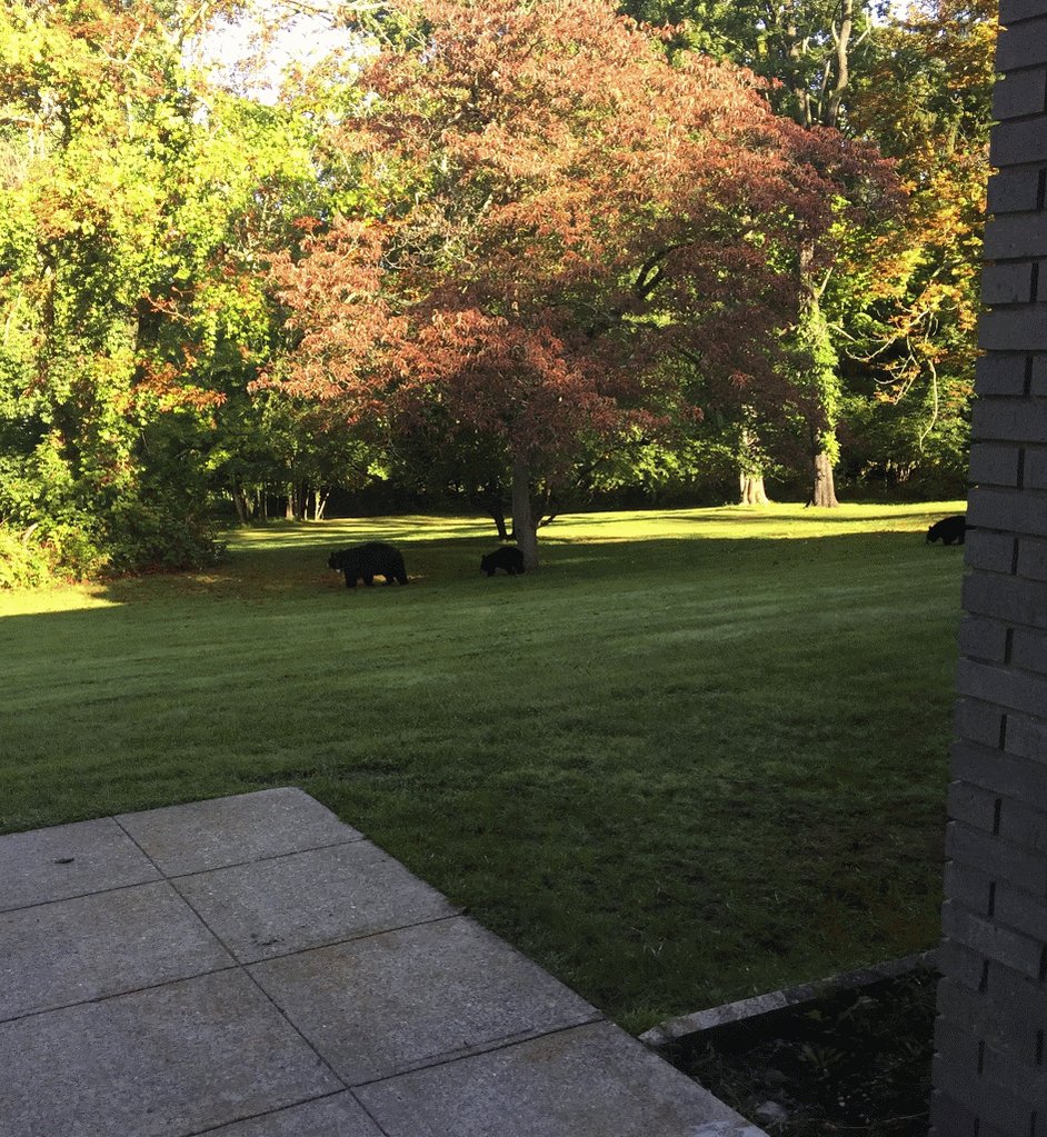 OLCRetreat photo