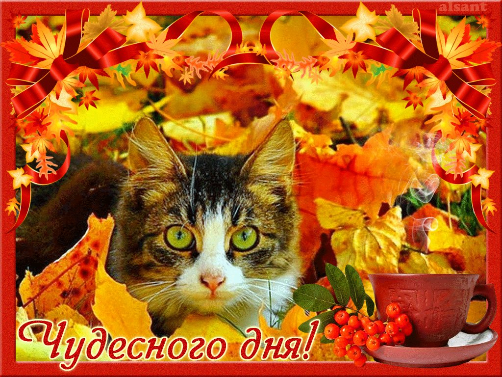 Живые открытки добрый осенний день, группу