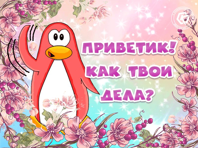 Картинка приветик как дела, поздравление открытке днем