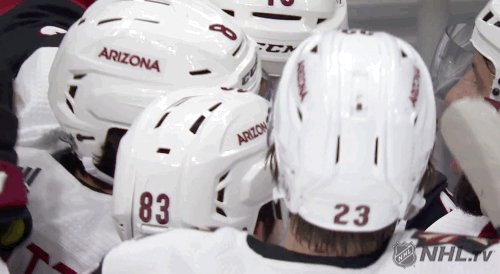 Arizona Coyotes @ArizonaCoyotes