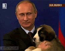 October 7th. Putin\s puppy wishes Vladimir Putin a very Happy Birthday!  