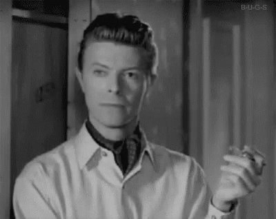 Thin White Duke Latest News Breaking News Headlines Scoopnest